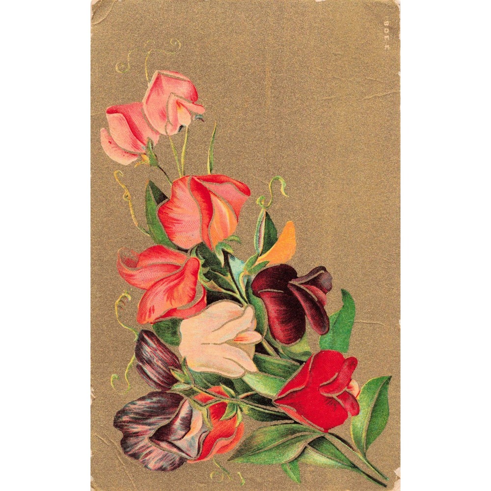Antique Embossed Sweet Pea Floral Postcard Mattoon IL 1 Cent Franklin Stamp - Picture 1 of 2